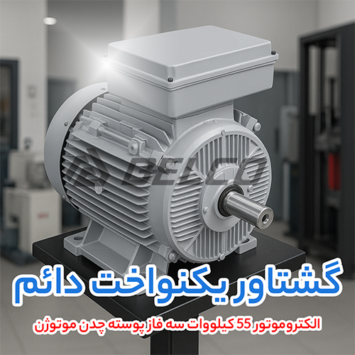 الکتروموتور 55 کیلووات سه فاز پوسته چدن موتوژن